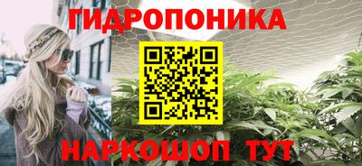 тгк Гусь-Хрустальный