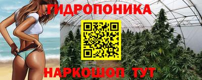 соль ск Гусев