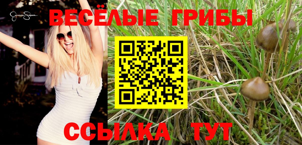 Псилоцибиновые грибы мухоморы Оренбург