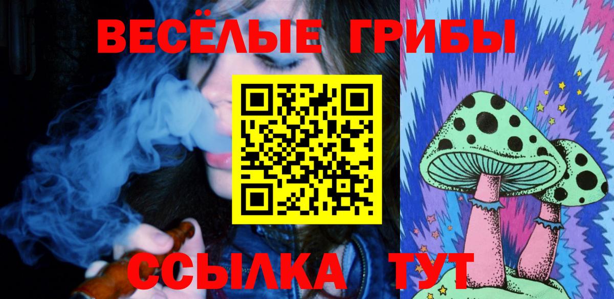 Псилоцибиновые грибы Psilocybine cubensis  дарнет шоп  Оренбург  Вход с VPN 